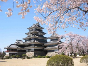 chateau cerisier Japon
