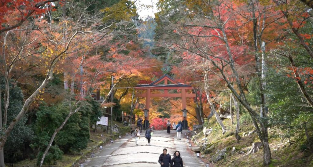 Japon en Octobre : Guide Intemporel pour un Voyage Époustouflant