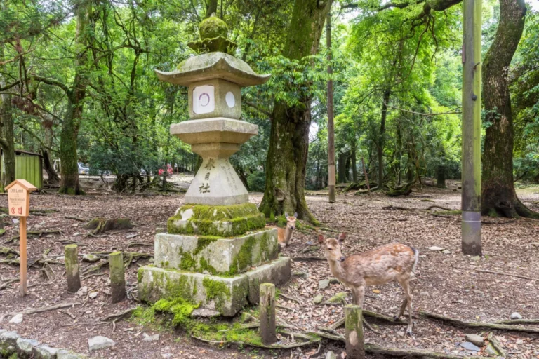 Kasuga Taisha