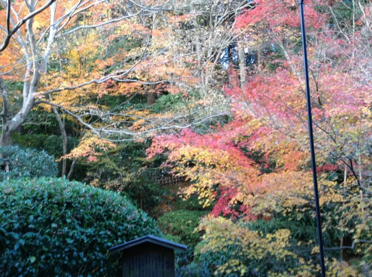 Ryōan-ji